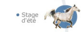 Stage dt cheval